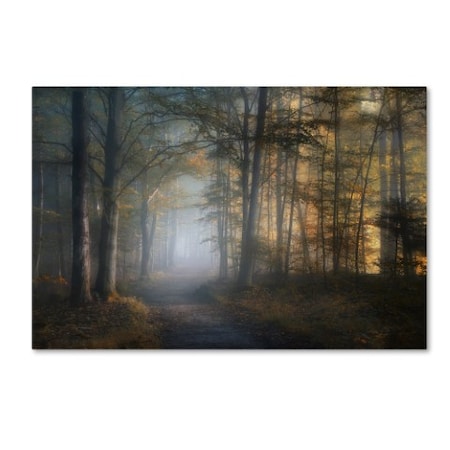 Norbert Maier 'Autumn Symphony' Canvas Art,22x32